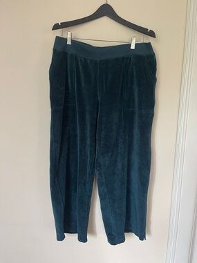 Pact Wide Leg Velvet Pants in Teal